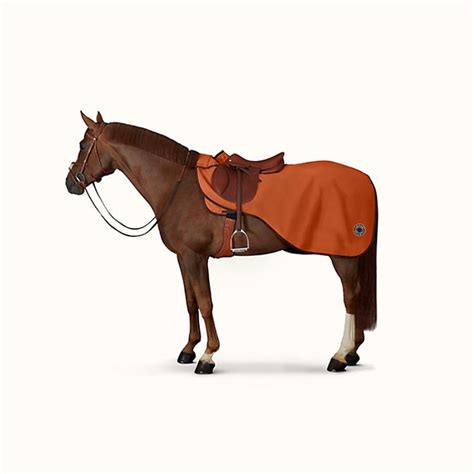 Hermes horse equipment